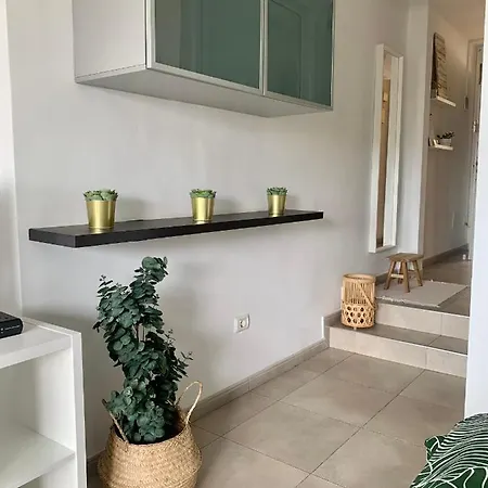 Estudio Miraverde, Adeje アデヘ